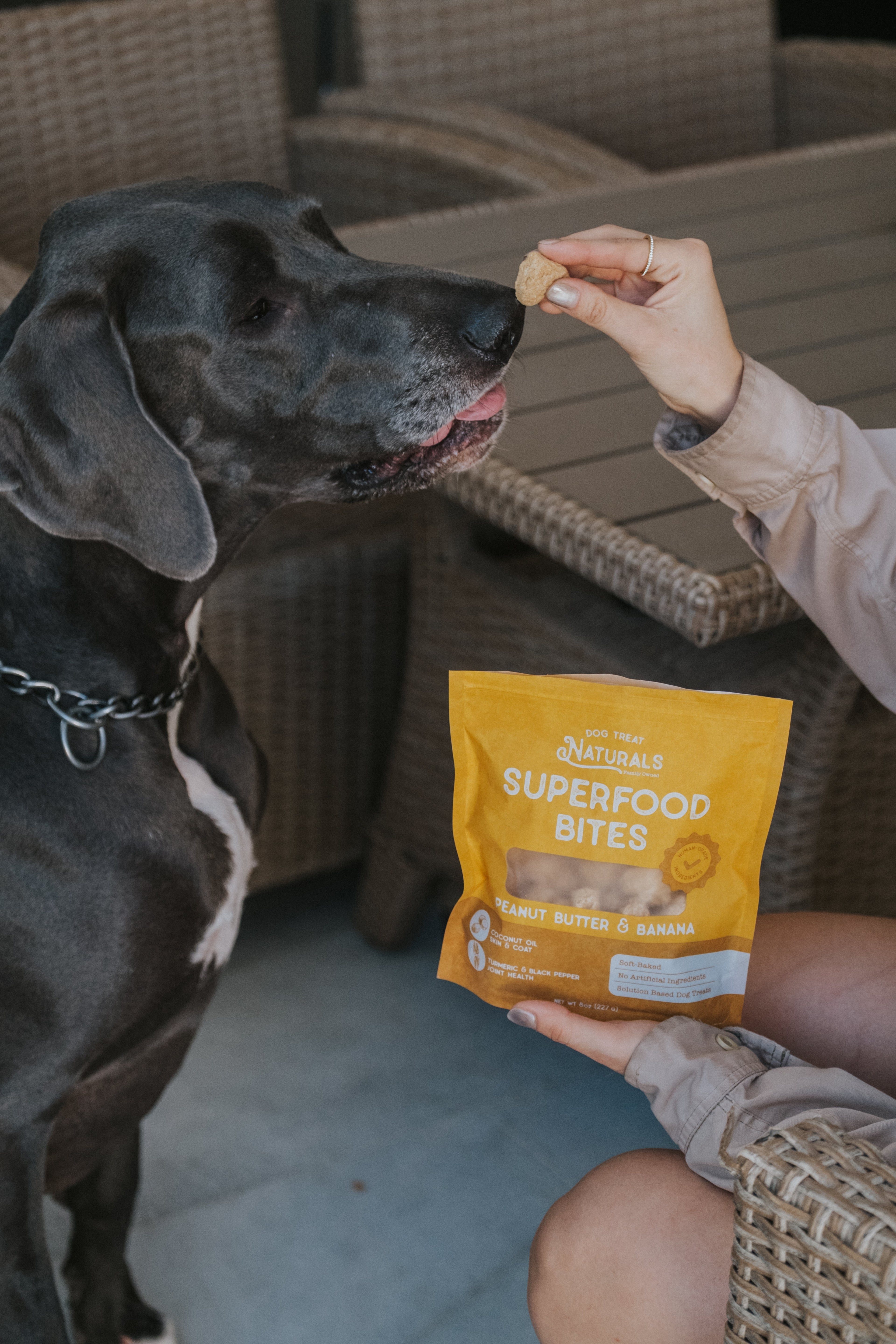 Superfood Bites