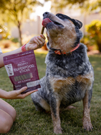 Beef & Pumpkin Superfood Sticks
