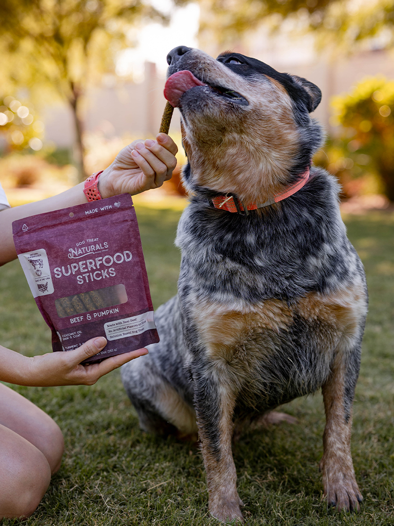 Beef & Pumpkin Superfood Sticks
