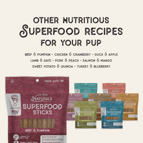 Beef & Pumpkin Superfood Sticks