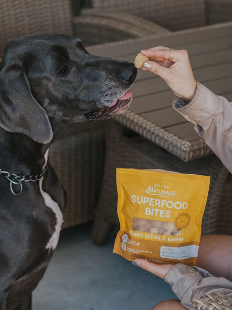 Peanut Butter & Banana Superfood Bites