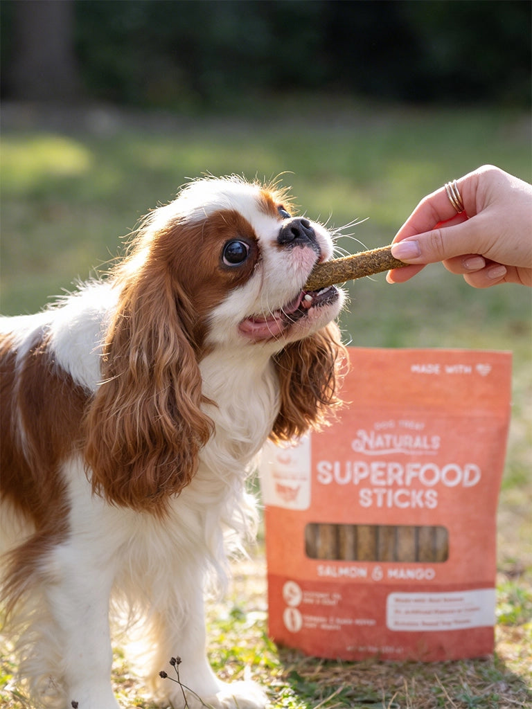 Salmon & Mango Superfood Sticks