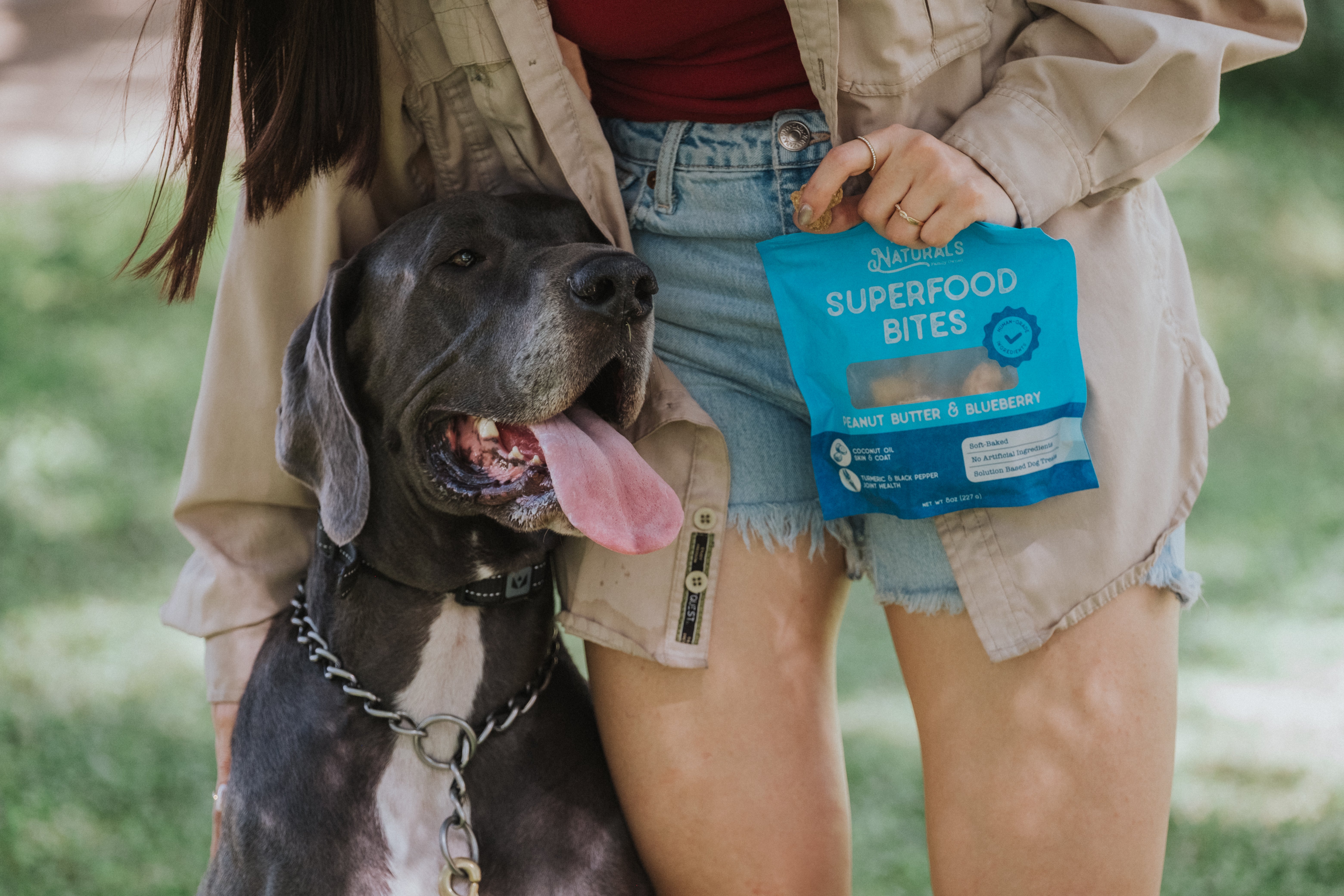 Chicken Dog Treats with Cranberry | Healthy Superfood Sticks – Dog
