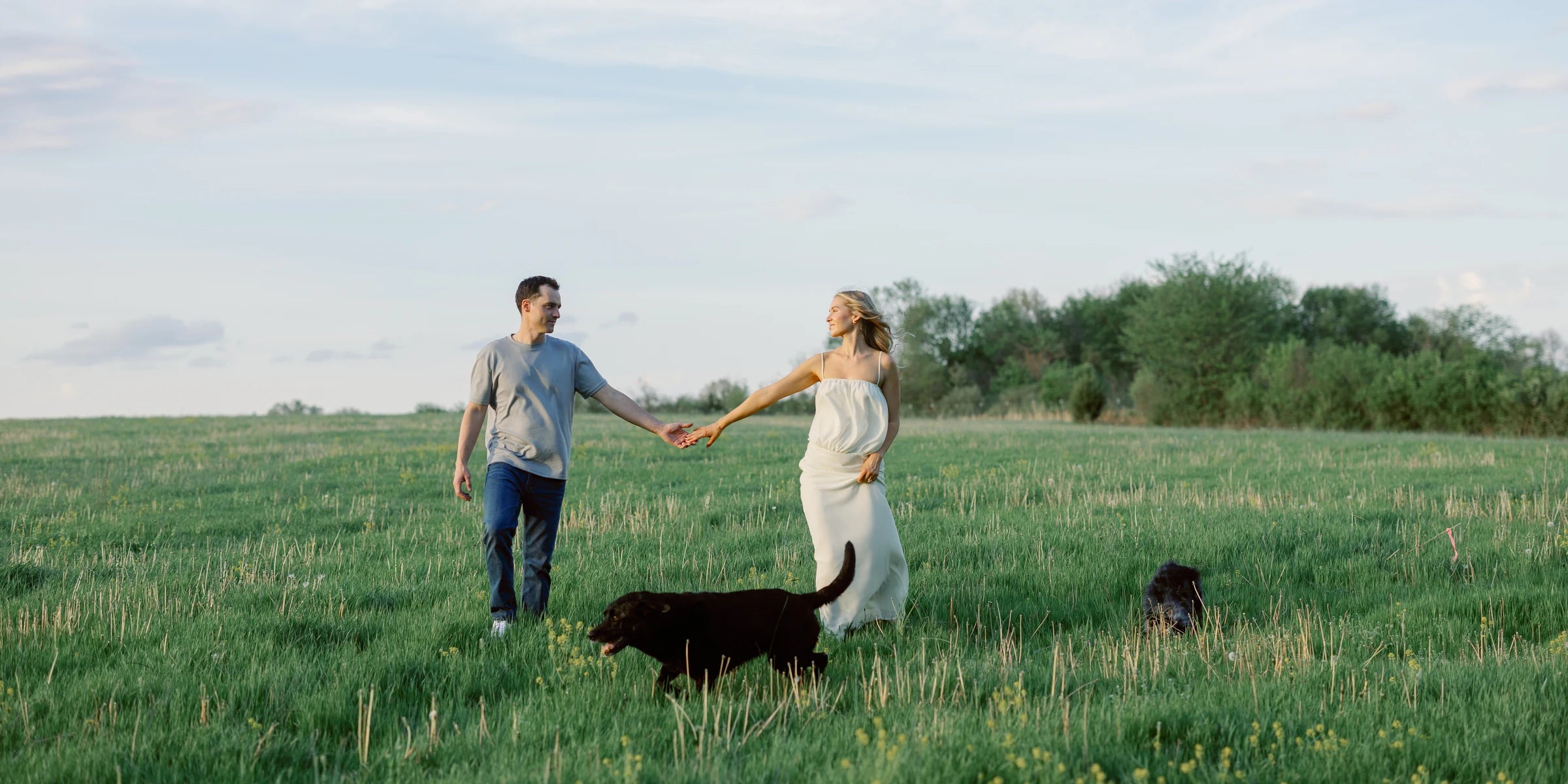 The family behind Dog Treat Naturals walking their two dogs through a Midwest field at golden hour